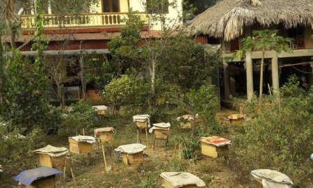 Hội nông dân tổ chức lễ công bố và ra mắt tổ hợp tác nuôi ong năm 2021